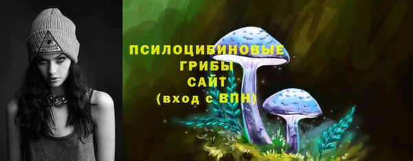 прущие крисы Новозыбков